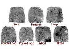 మీ ఫింగర్ ప్రింట్స్ మీ క్యారెక్టర్ గురించి కరెక్ట్ గానే చెబుతున్నాయా ?