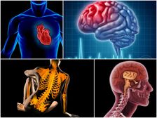 శరీరం గురించి మీకు తెలియని మైండ్ బ్లోయింగ్ ఫ్యాక్ట్స్..!!