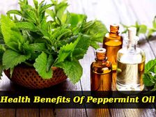 మింట్ ఆయిల్ లో దాగి ఉన్న అమేజింగ్ హెల్త్ బెనిఫిట్స్ ...