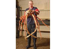 మిమ్మల్ని సర్ ప్రైజ్ చేసే ప్రపంచంలోని లార్జెస్ట్ థింగ్స్ 