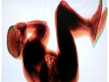 అసహజ ప్రదేశాల్లో నిద్రలోకి జారుకున్న వ్యక్తులు