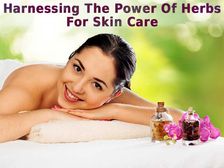 వృద్యాప్య లక్షణాలను దూరం చేసే 5 యాంటీఏజింగ్ హెర్బ్స్ ..