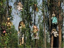 ప్రపంచంలోనే అత్యంత భయంకరమైన 10 ప్రదేశాలు..