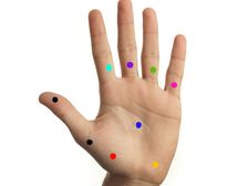 అరచేతిలో ప్రెజర్ పాయింట్స్ చెప్పె ఆరోగ్య రహస్యాలు...