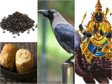 బెల్లం, నువ్వులను కాకులకు ఆహారంగా పెడితే..శని ప్రభావం తగ్గుతుందా..!?