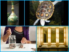 ఇంట్లో ఈ వస్తువులు ఉంటే.. డబ్బు లేదన్న సమస్య దరిచేరదు..!!