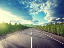 రోడ్డు చిహ్నాలు పసుపు, తెలుపు నమూనాలలో మాత్రమే ఎందుకు ఉంటాయి