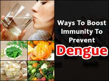 డెంగ్యు నివారణకు ఖచ్చితంగా తినాల్సిన ఇమ్యూనిటి పవర్ ఫుడ్స్ 