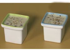 ఖర్జూరం+ఆపిల్ ఖీర్ రిసిపి: దసరా స్పెషల్