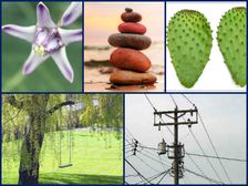 ఇంట్లో పెట్టుకోకూడని అత్యంత దురదృష్టకరమైన వస్తువులు..!!