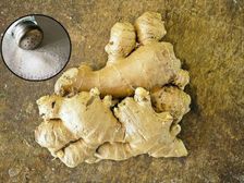 అల్లం, ఉప్పు కలిపి నమిలితే ఏమవుతుందో తెలుసా ? 