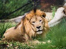 అలర్ట్ : ఇవి మానవునికి అవసరం లేని టాప్ 10 హెల్పర్స్..!!