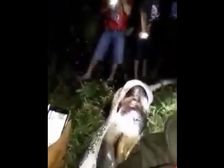 మిస్సైన మనిషి... పైతాన్(కొండ చిలువ)పొట్టలో శవమైన వీడియో..