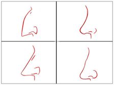 ఆశ్చర్యం అనిపించినా ఇది నిజం : ముక్కును బట్టి పర్సనాలిటీ తెలుసుకోవచ్చట...!