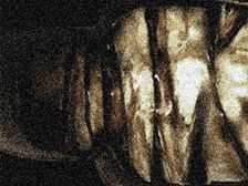 శవాలను తేనెలో ముంచుకొని తినే వికారమైన అలవాటును చైనా ప్రజలు పాటిస్తారు 