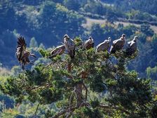 మృతదేహాలను ఇలా ఉపయోగిస్తారా? ఈ విషయాలు తెలిస్తే షాక్ అవుతారు!