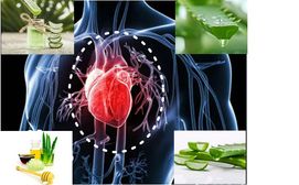  మీ హార్ట్ హెల్త్ కాపాడుకునేందుకు కలబంద యొక్క 5 శక్తివంతమైన మార్గాలు 