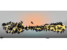 చీమలను తరిమేయడానికి అయిదు సులువైన మరియు చవకైన మార్గాలు