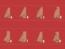 మీ ముక్కు కలిగి ఉన్న ఆకారాన్ని బట్టి - మీరెలాంటి వారో సులభంగా తెలుసుకోవచ్చు !