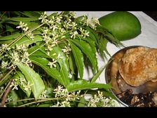 వివిధ రాష్ట్రాల్లో ఉగాదిని ఎలా సెలెబ్రేట్ చేసుకుంటారో తెలుసా?