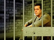 నువ్వు సల్మాన్ ఖాన్ అయితే ఏమిటి? మా జోలికి వస్తే ఇదే గతే ! మాది బిష్ణోయ్ సమాజం.. మాకు ఆ తిక్క ఎక్కువ