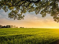 భైశాఖి, సూర్యమాన నూతన సంవత్సరం