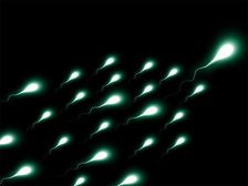 పురుషులలో వంద్యత్వ నివారణకు సహజ సిద్దమైన పద్దతులు ఇవే 