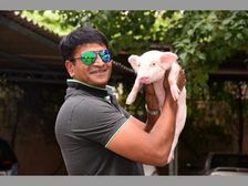 రవిబాబు పందిపిల్లకు బ్రెష్ చెయ్యడానికి, పందిపిల్లతో ఫుష్ అప్స్ చేయడానికి కారణం తెలుసా?