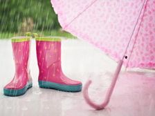 ఈ వర్షాకాలంలో మీ ఇంటిని ఈ విధంగా శుభ్రపరుచుకోండి !