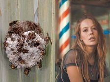 యోని టైట్ అయ్యేందుకు కందిరీగ గూళ్లను అందులో పెట్టుకుంటున్నారు, సెక్స్ చేస్తే బాగా నొప్పి వస్తుంది