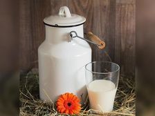 బఠానీ గింజలతో బఠాణీ-పాలు(పీ-మిల్క్) : డైరీప్రొడక్ట్స్ కు ప్రత్యామ్నాయంగా పనికొస్తాయా?