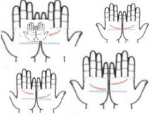 మీ అరచేతిలోని ఈ ప్రత్యేకమై రేఖలు కాబోయే భర్త లేదా భార్య గురించి తెలియజేస్తాయి