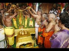 కల్పవృక్ష వాహనంపై శ్రీవారు ఎందుకు దర్శనమిస్తారో తెలుసా..