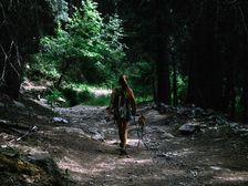 ప్రియాంక రెడ్డి లాంటి పరిస్థితి మీకు కూడా ఎదురైతే వెంటనే మీరు ఇలా చేయండి..