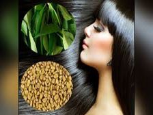 ఆయుర్వేదం ప్రకారం, హెయిర్ ఆయిల్ ఎలా అప్లై చేయాలో తెలుసుకోండి...