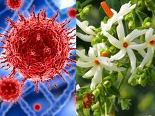 ఈ చిట్కాలు పాటిస్తే కరోనా నుండి కోలుకోవచ్చంటున్న 'హ్యారీపోటర్' రచయిత...