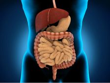 వారంలో 3 రోజులు తినండి.. మీ శరీరంలో అద్భుతాన్ని చూడండి ...