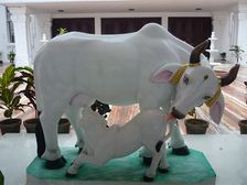 ఇంట్లో కామధేను విగ్రహాన్ని ఉంచడం ప్రాముఖ్యత, వాస్తు ఏం చెబుతుంది..