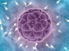 కరోనా మగవారిలో వంధ్యత్వానికి కారణమవుతుందా? అధ్యయనం చెప్పే షాకింగ్ వార్తలు మీకు తెలుసా?