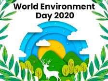 ప్రపంచ పర్యావరణ దినోత్సవం 2020: మీ చుట్టూ ఉన్న రోజువారీ ఉత్పత్తుల నుండి విడుదలయ్యే ఈ విషవాయువులు