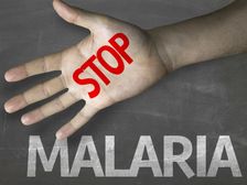 World Mosquito Day 2020: డేంగ్యూ మరియు లేరియా నుండి బయటపడటానికి ఉత్తమ మార్గం ఏమిటి?