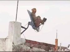 వైరల్ : ఈ ఫొటోకు క్యాప్షన్ చెబితే మహింద్రా స్కేల్ మోడల్ కారు గెలుచుకోవచ్చట...