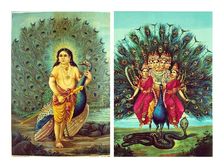 కుమారస్వామికి నెమలి వాహనంగా ఎలా మారిందో తెలుసా...