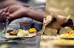 కాకులకు పిండప్రదానాలను ఆహారంగా ఎందుకు పెడతారో తెలుసా...