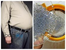 వేగంగా బరువు తగ్గాలనుకుంటున్నారా? చియా విత్తనాలు చాలు అని చెప్తారు ..!