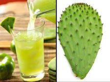 శరీరానికి కాక్టస్(బ్రహ్మజెముడు) జ్యూస్ తాగడం వల్ల ఎన్ని ప్రయోజనాలు ఉన్నాయో తెలుసా?