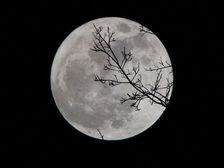 Lunar Eclipse 2021:రేపు ఆకాశంలో మరో అద్భుతం.. కనులవిందు చేయనున్న బ్లడ్ మూన్...