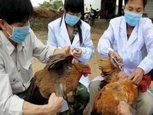 బర్డ్ ఫ్లూ మానవులకు కూడా వ్యాపిస్తుంది; ప్రపంచంలో మొట్టమొదటి కేసు చైనాలో 41ఏళ్ల వ్యక్తిలో..లక్షణాలు ఇలా ఉంటాయి