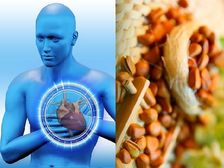 రోగనిరోధక శక్తిని పెంచడానికి మరియు గుండె జబ్బులు రాకుండా నిరోధించడానికి పైన్ నట్స్ సరిపోతాయి!