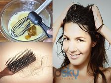 మీకు జుట్టు ఊడుతుందా? జుట్టు సాంద్రత తగ్గుతుందా? దీన్ని నివారించడానికి మార్గాలు ఇక్కడ ఉన్నాయి!